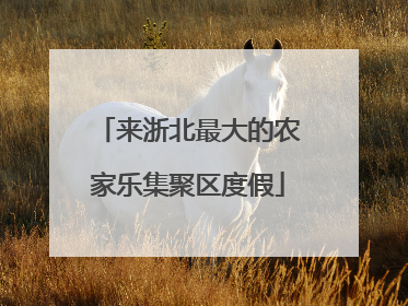 来浙北最大的农家乐集聚区度假